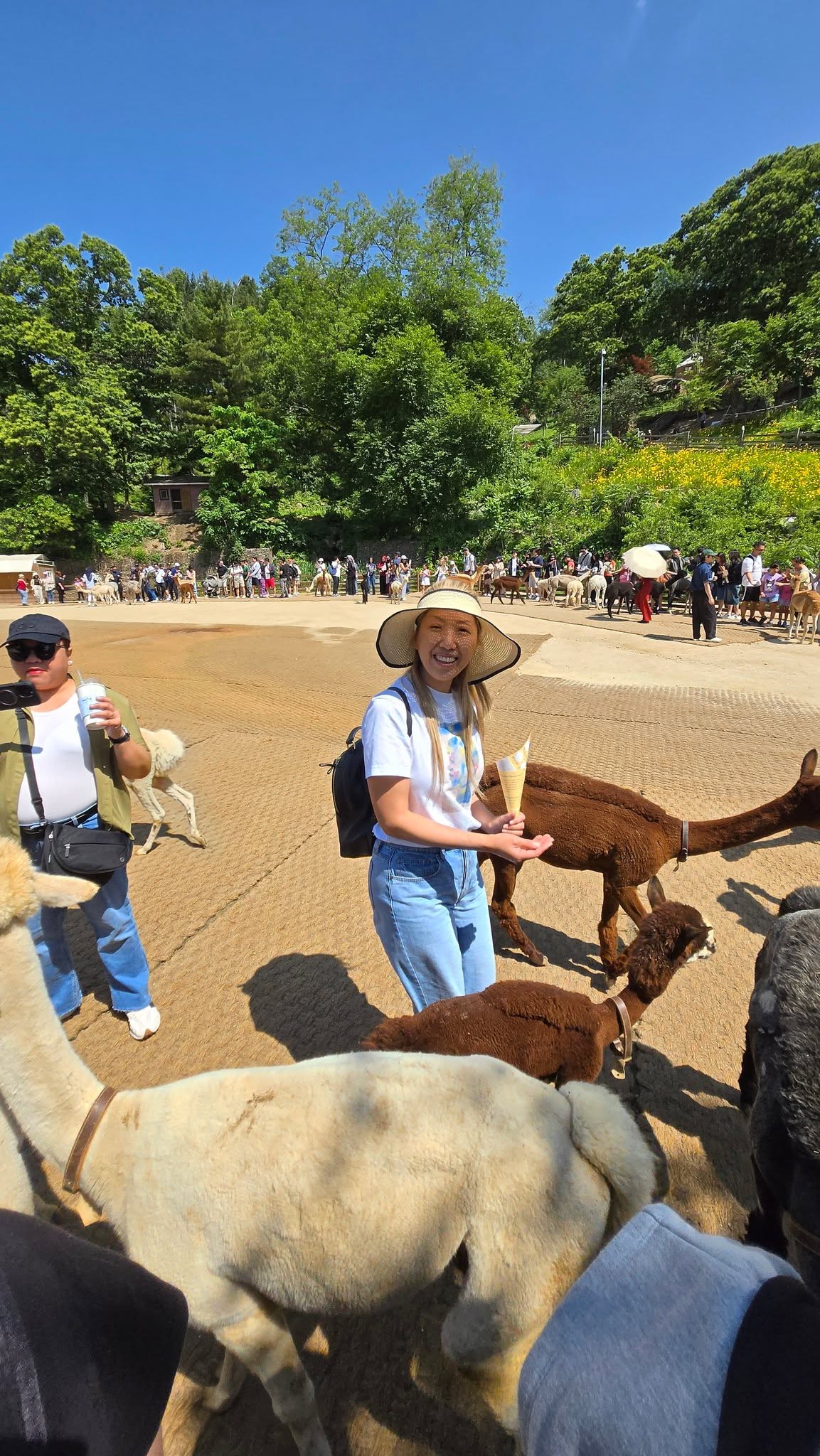 That smile. The alpacas didn't stand a chance.